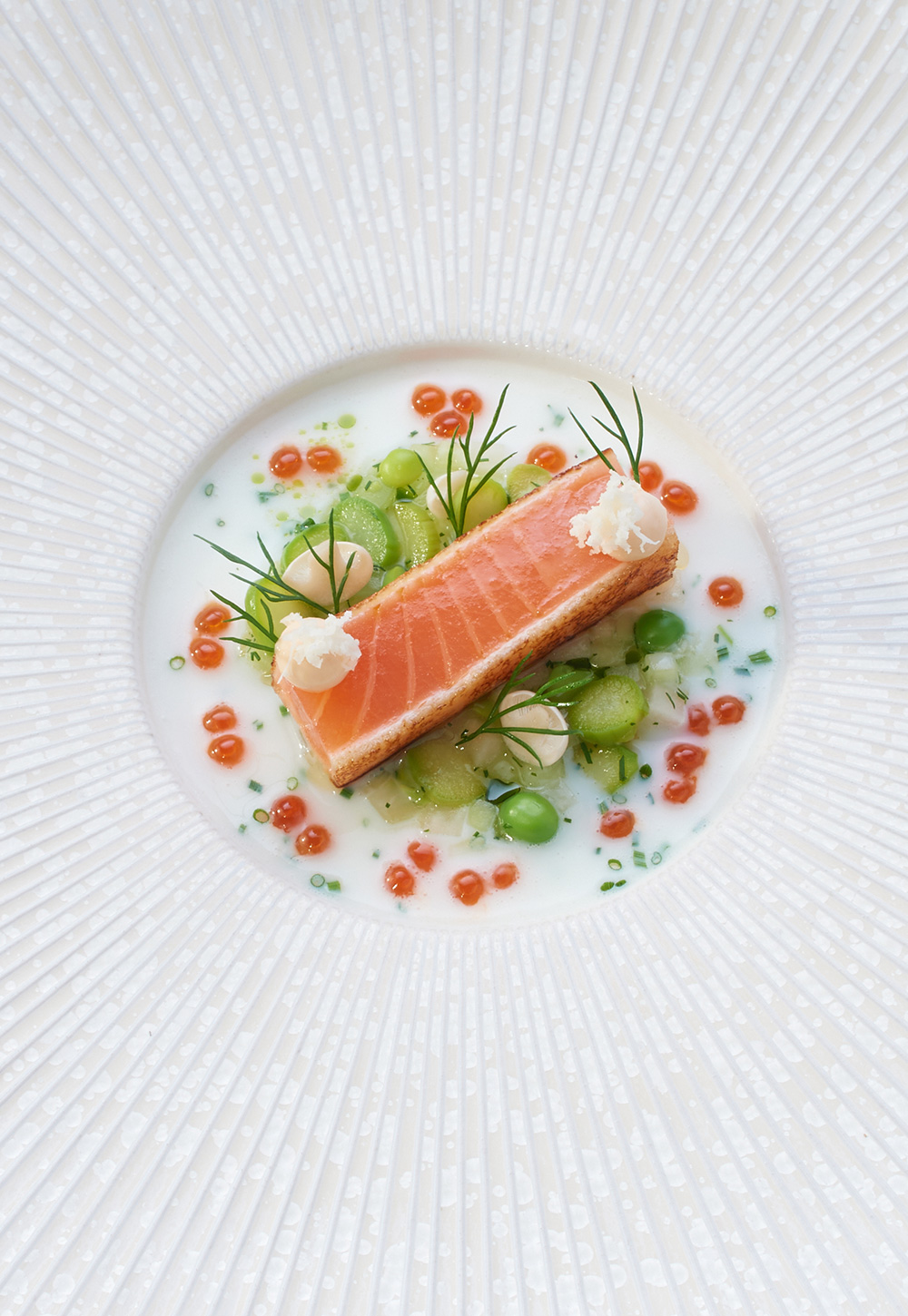 Salmon auf einem flachen Teller elegant angerichtet